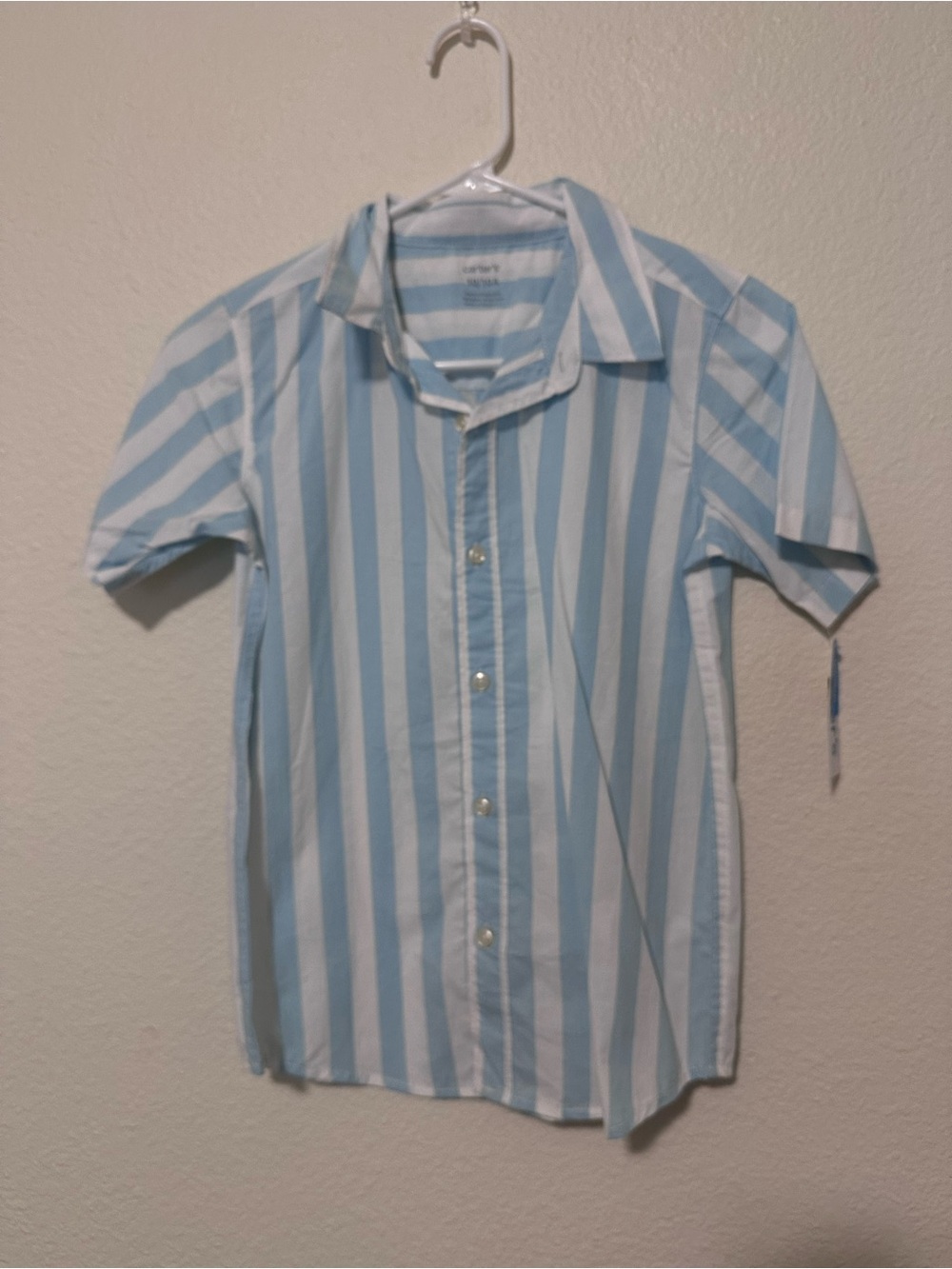 Blue and White Striped Short-Sleeve Button-Up Shirt